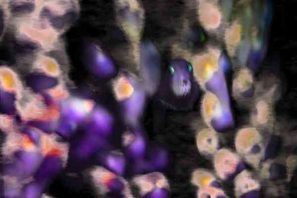 2024 - 5 klein (19XX)